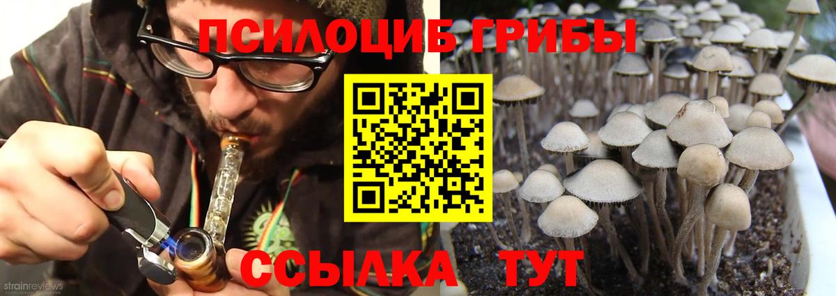 Галлюциногенные грибы Cubensis  Вход с VPN  сколько стоит  Семилуки  Галлюциногенные грибы мухоморы 